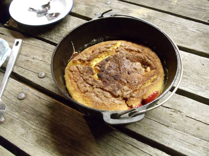 troop13_saffran_2014_G