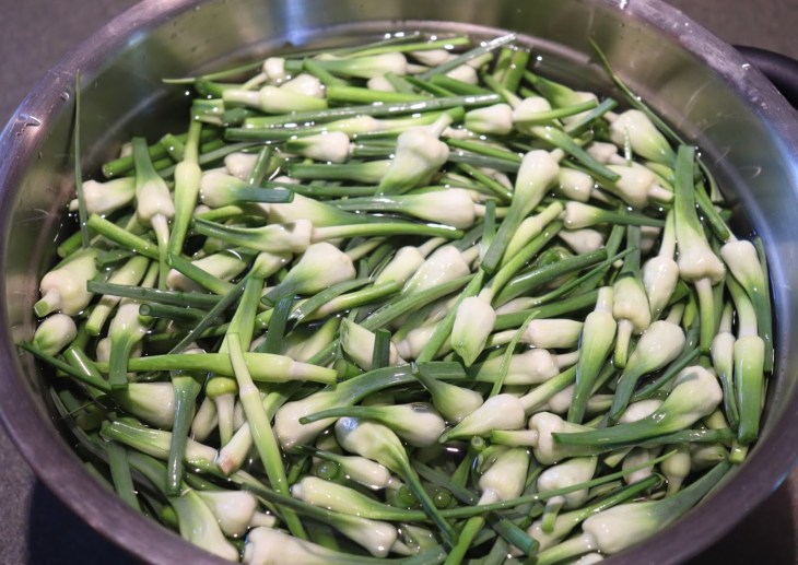 20180617161956_IMG_1424