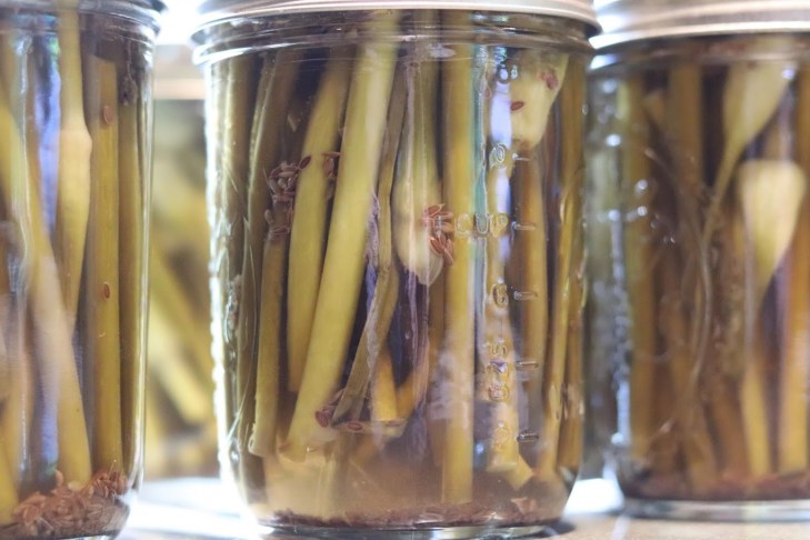 20180618084404_IMG_1476