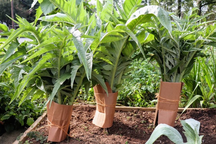 20180901165641_IMG_1840